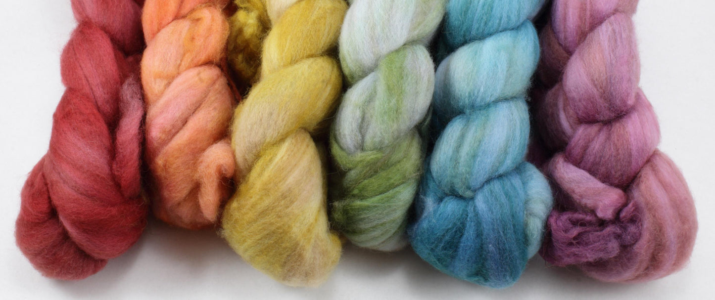 6oz Baby Camel Combed Top Set - Jewel Tones