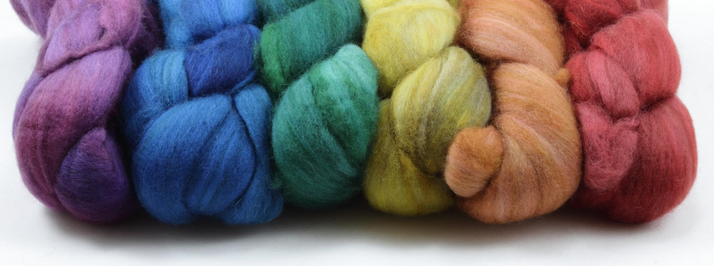 6oz Baby Camel Combed Top Set - Dark Rainbow
