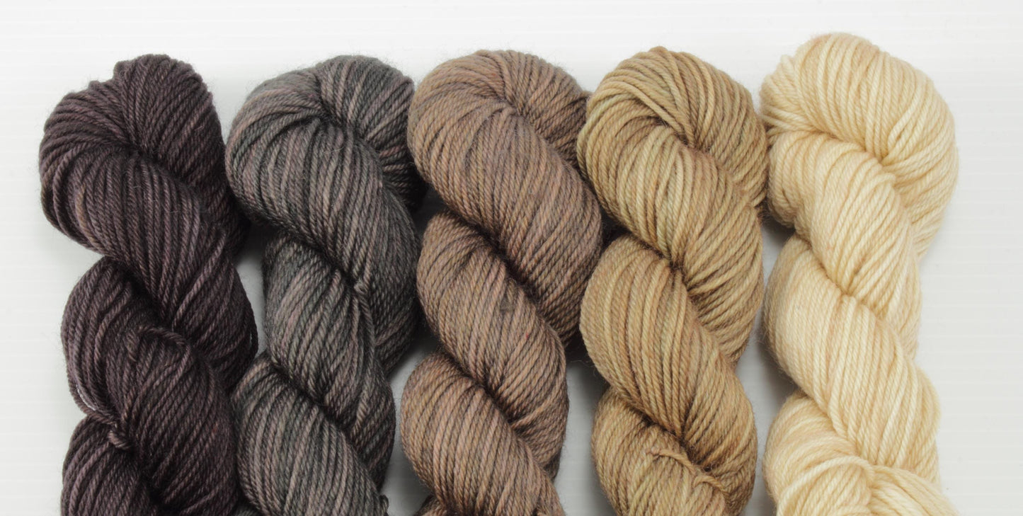 NEW - Colorwork Set - 460yd - Boundless SW Merino/Nylon Sock Yarn - Neutrals