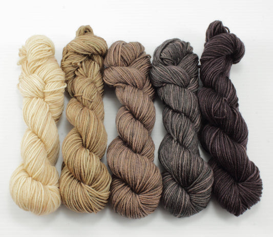 NEW - Colorwork Set - 460yd - Boundless SW Merino/Nylon Sock Yarn - Neutrals