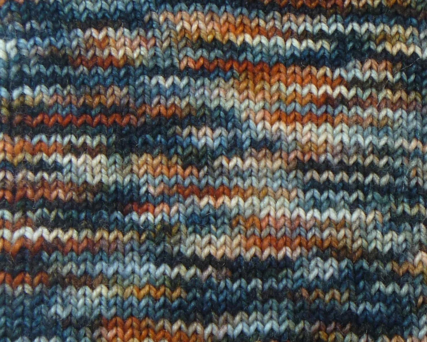 NEW - Boundless DK - Eye of the Tiger