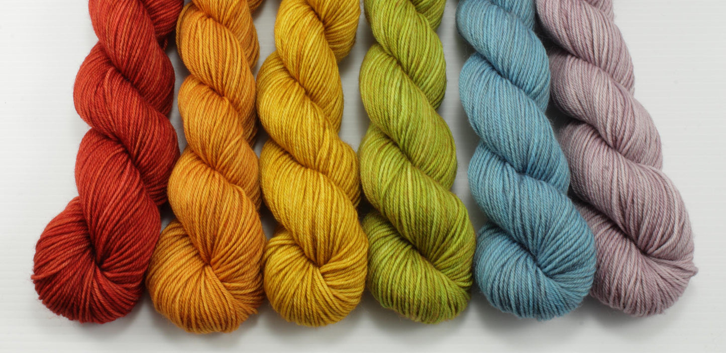 NEW - Colorwork Set - 918yd - Boundless SW Merino/Nylon Sock - Fall Faves