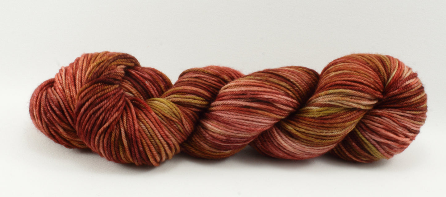NEW - Boundless DK - Brandywine