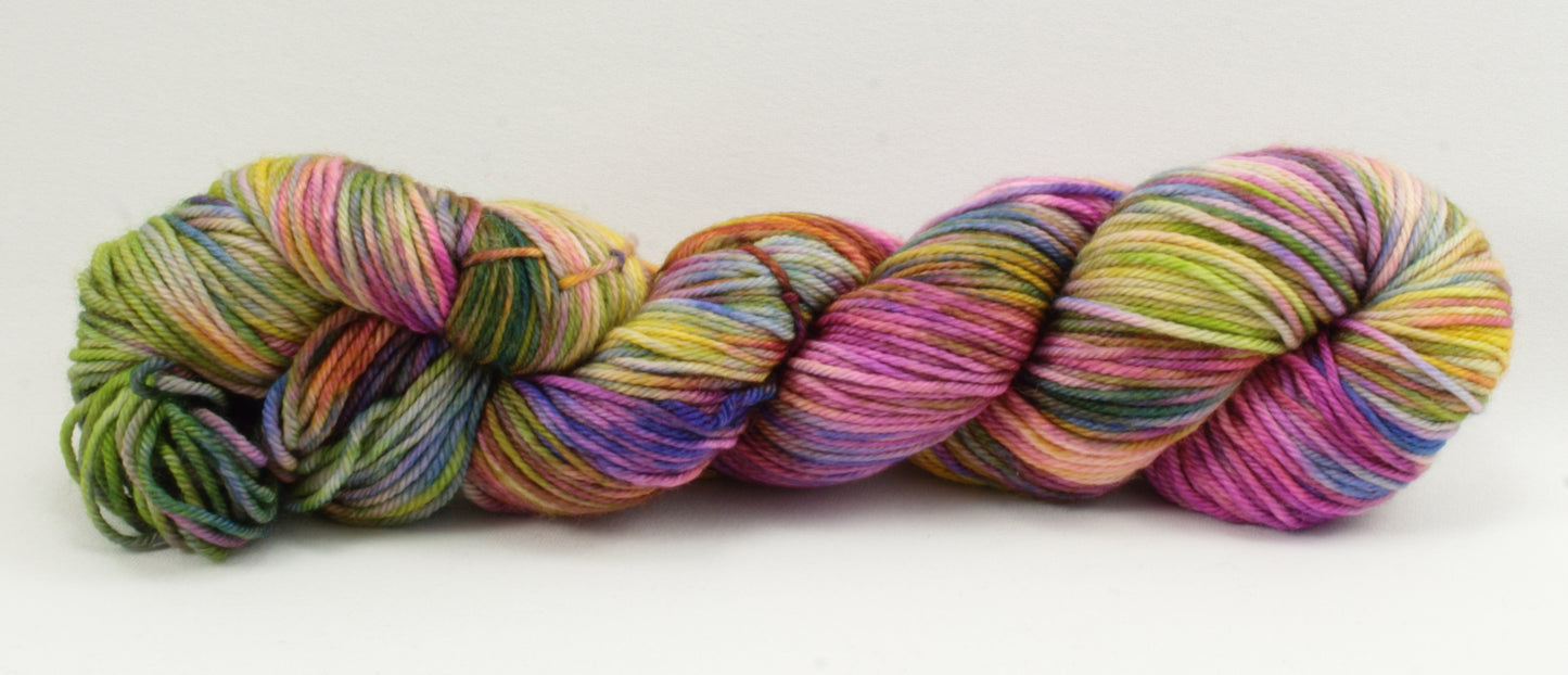 NEW - Boundless DK - Fool's Spring