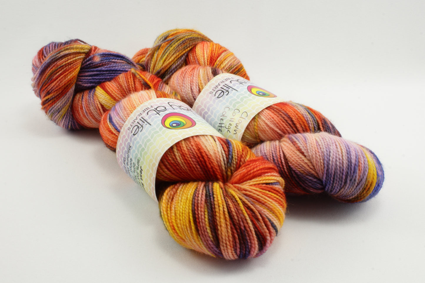 Yarn of Letters - Jest Sock - Clown College Colette