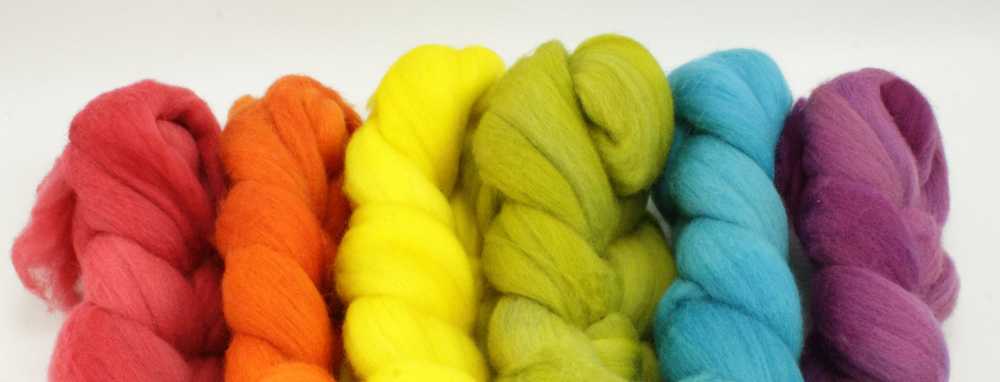 6oz Merino Combed Combed Top Set - Fall Rainbow